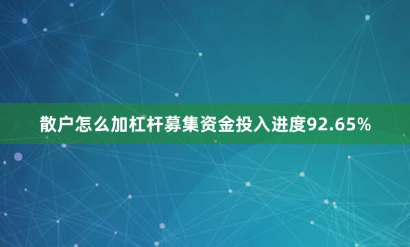 散户怎么加杠杆募集资金投入进度92.65%