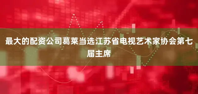 最大的配资公司葛莱当选江苏省电视艺术家协会第七届主席